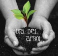 /album/fotogaleria2/retono-arbol-jpg/